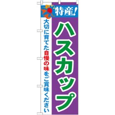 画像1: のぼり 特産！ハスカップ 21467 (1)