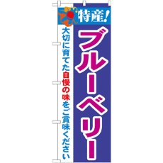 画像1: のぼり 特産！ブルーベリー 21468 (1)