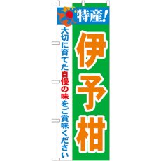 画像1: のぼり 特産！伊予柑 21481 (1)