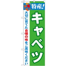 画像1: のぼり 特産！キャベツ 21492 (1)