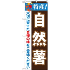 画像1: のぼり 特産！自然薯 21509 (1)