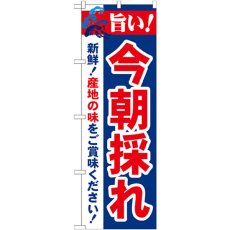 画像1: のぼり 旨い！今朝採れ 21689 (1)