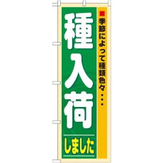 画像1: のぼり 種入荷 3250 (1)