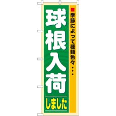 画像1: のぼり 球根入荷 3251 (1)