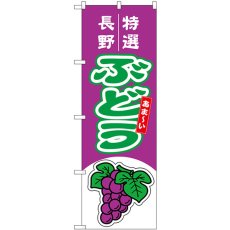 画像1: のぼり ぶどう 長野 特選 54741 (1)