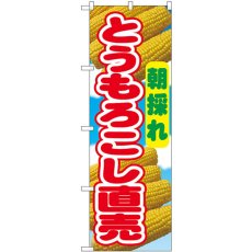 画像1: のぼり とうもろこし直売朝採れ 54869 (1)