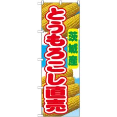 画像1: のぼり とうもろこし直売 茨城産 54872 (1)