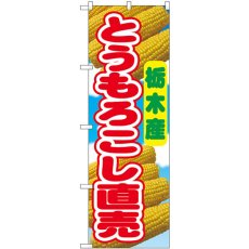 画像1: のぼり とうもろこし直売 栃木産 54873 (1)