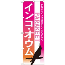 画像1: のぼり インコ オウム 7521 (1)