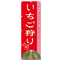 画像1: のぼり いちご狩り 品種食べ比べ 練乳付き 81980 (1)