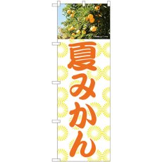 画像1: のぼり 夏みかん 81992 (1)