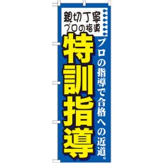 画像1: のぼり 親切丁寧プロの特訓 GNB-1594 (1)