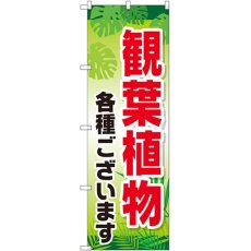 画像1: のぼり 観葉植物各種ございます GNB-2531 (1)