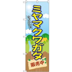 画像1: のぼり ミヤマクワガタ販売中 GNB-3684 (1)