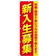 画像1: のぼり 新入生募集 プロの指導 GNB-4285 (1)