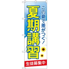 画像1: のぼり 夏期講習 生徒募集中 GNB-4294 (1)