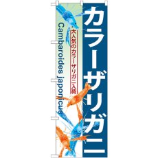 画像1: のぼり カラーザリガニ GNB-570 (1)