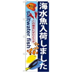 画像1: のぼり 海水魚入荷しました GNB-572 (1)