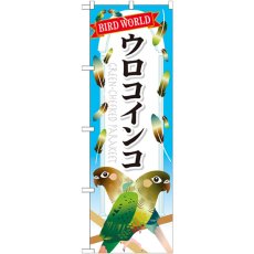 画像1: のぼり ウロコインコ GNB-612 (1)