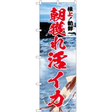 画像1: のぼり 朝獲れ活イカ 極上 SNB-5322 (1)