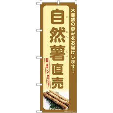 画像1: のぼり 自然薯直売 SNB-7279 (1)