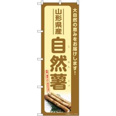 画像1: のぼり 自然薯 山形県産 SNB-7281 (1)