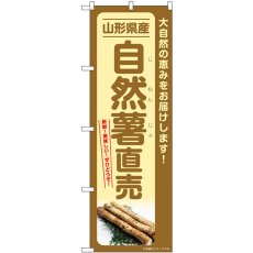 画像1: のぼり 自然薯直売 山形県産 SNB-7290 (1)