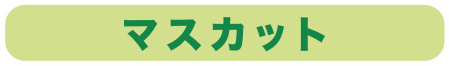 マスカット